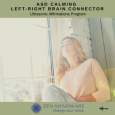 ASD Calming Left-Right Brain Connector Ultrasonics