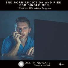 End Porn Addiction and PIED - for single men