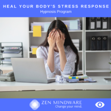 Heal your body stress response